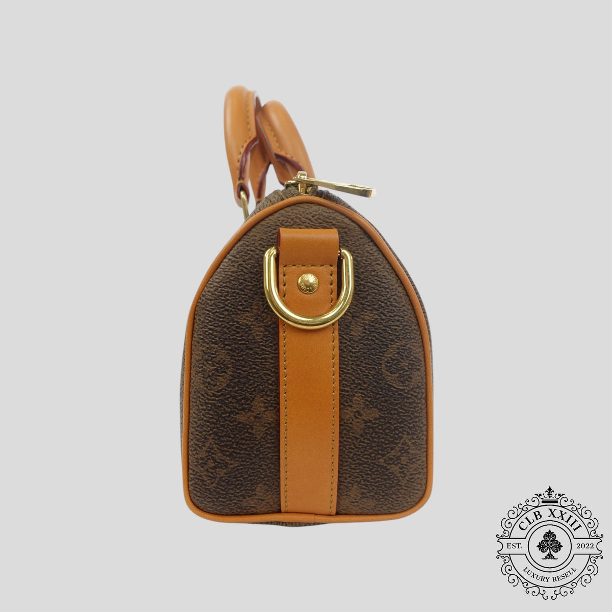 Louis Vuitton Monogram Dust Keepall 25