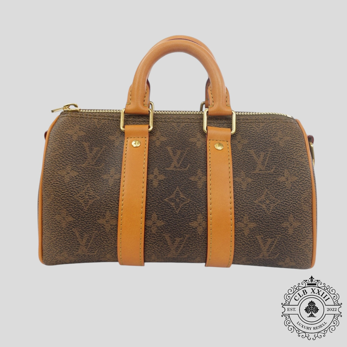Louis Vuitton Monogram Dust Keepall 25