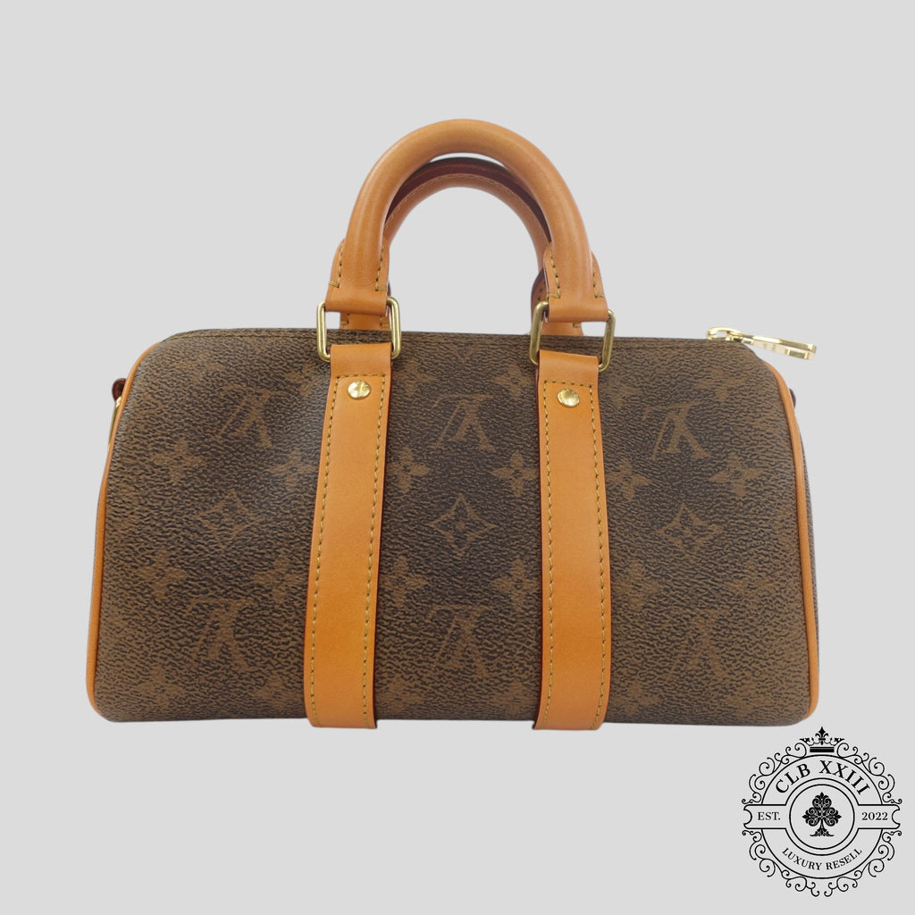 Louis Vuitton Monogram Dust Keepall 25