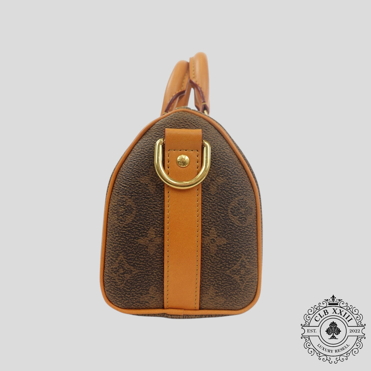 Louis Vuitton Monogram Dust Keepall 25